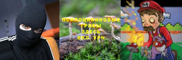 синтетический гашиш Алексин