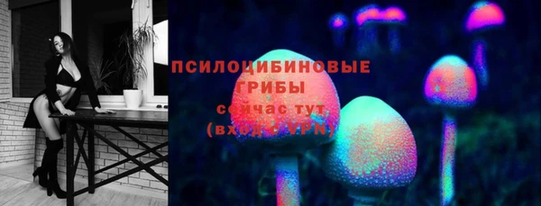 синтетический гашиш Алексин