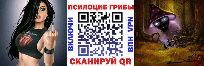 Псилоцибиновые грибы Cubensis  где найти   Балашиха 