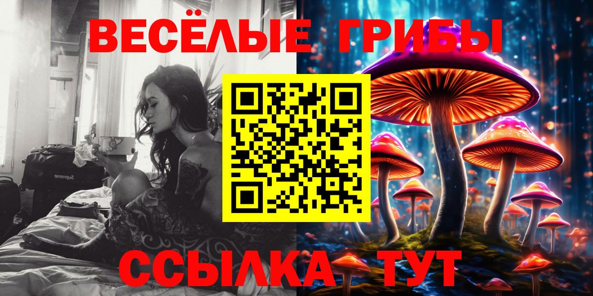 Балашиха  Псилоцибиновые грибы мицелий  Галлюциногенные грибы ЛСД  где найти наркотики  Вход с VPN 