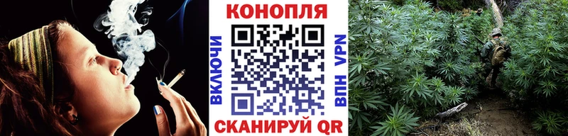Конопля ГИДРОПОН  Балашиха 